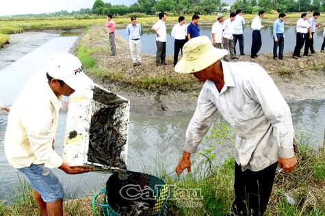 Khi nông dân lập phố - Bài cuối: Định hình diện mạo huyện nông thôn mới