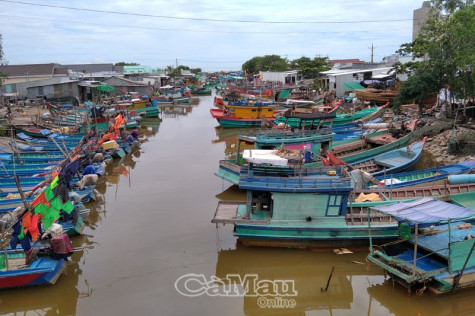 Phát triển nghề cá  bền vững, có trách nhiệm