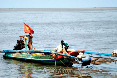 Loại bỏ hoạt động  khai thác bất hợp pháp