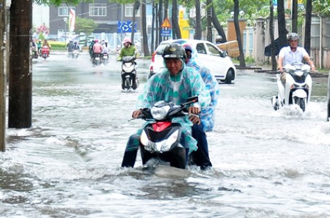 Mưa kéo dài, nhiều khu vực nội ô TP. Cà Mau bị ngập