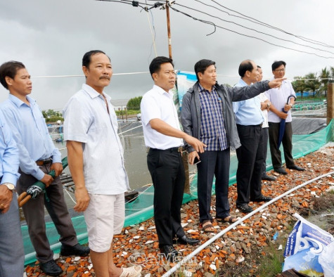 Tính toán lại tổ chức sản xuất, phát huy thế mạnh con tôm