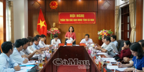 Thẩm tra các dự thảo nghị quyết chuyên đề HĐND tỉnh khóa IX