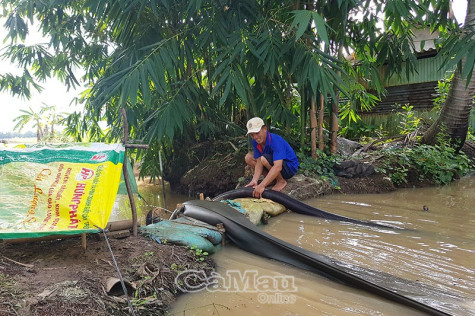 Cơn mưa buồn