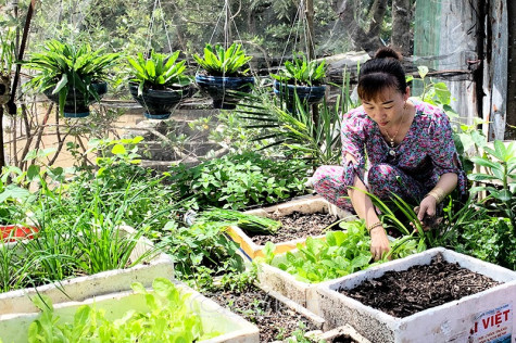 “Ô dinh dưỡng” màu xanh