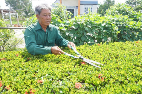 Chăm lo đời sống cho người có công