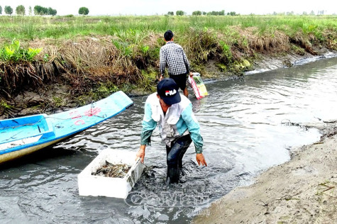 Nan giải bài toán quản lý đất đai - Bài 1: Sử dụng không đúng mục đích