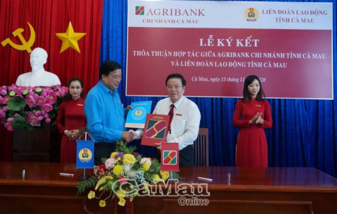 Phối hợp thu kinh phí công đoàn qua Agribank Cà Mau