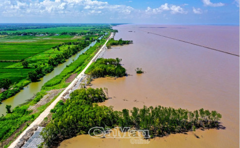 Hối hả trên công trình đê biển Tây