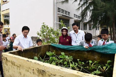 Chủ động phòng, chống bệnh sốt xuất huyết