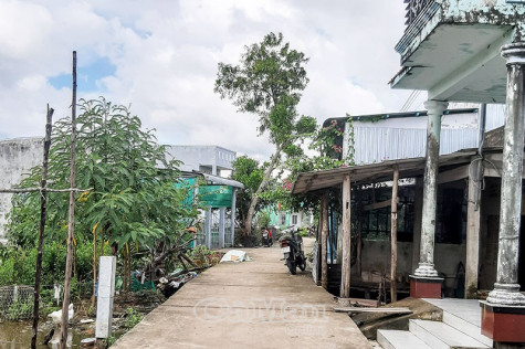 Xung quanh việc quản lý lỏng lẻo rừng phòng hộ biển Tây: "Thay máu" nhưng chưa "thay xác"
