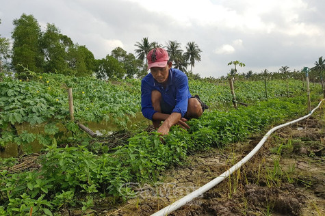 Khởi sắc đời sống đồng bào Khmer