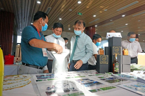 Kết nối trực tuyến giao thương thuận lợi