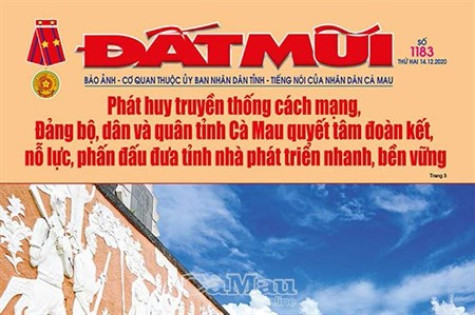 Dừng hoạt động báo ảnh Đất Mũi