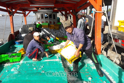 Quản lý chặt tàu cá