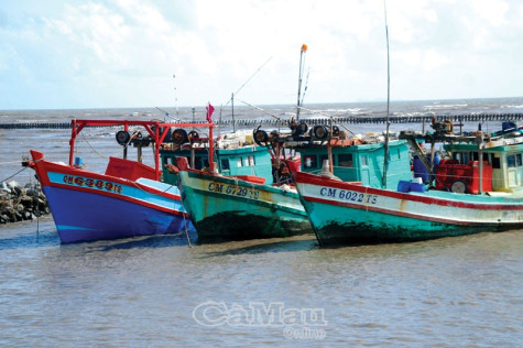 Bảo đảm sinh kế  để bảo vệ nguồn lợi thuỷ sản