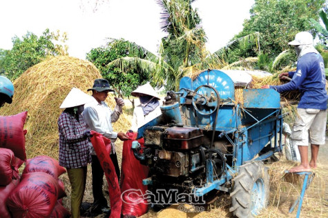 Định hướng hoạt động  cho các hợp tác xã