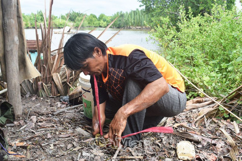 Vượt lên nghịch cảnh