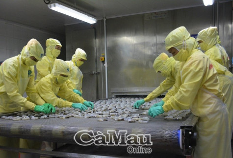 Triển khai thực hiện giảm giá điện, tiền điện đợt 2 do Covid-19