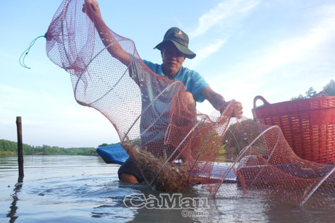 Triển vọng tôm sinh thái