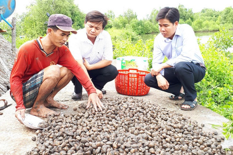 Vượt khó hoàn thành nhiều chỉ tiêu quan trọng