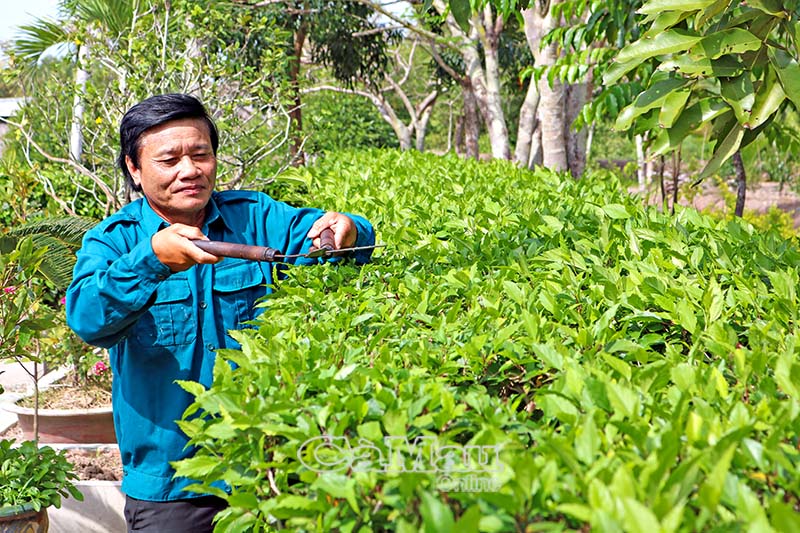 Ông Nguyễn Thanh Long đi đầu trong các phong trào xây dựng nông thôn mới ở địa phương.