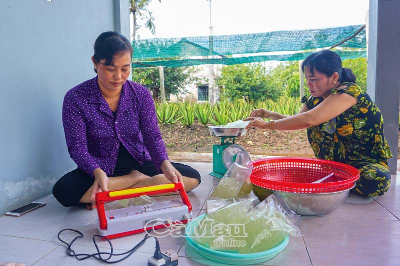 Các khâu từ sản xuất, sơ chế, đóng gói bao bì đều thực hiện tại chỗ.