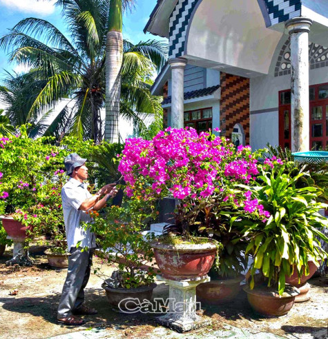 Ðong đầy tình đất, tình người