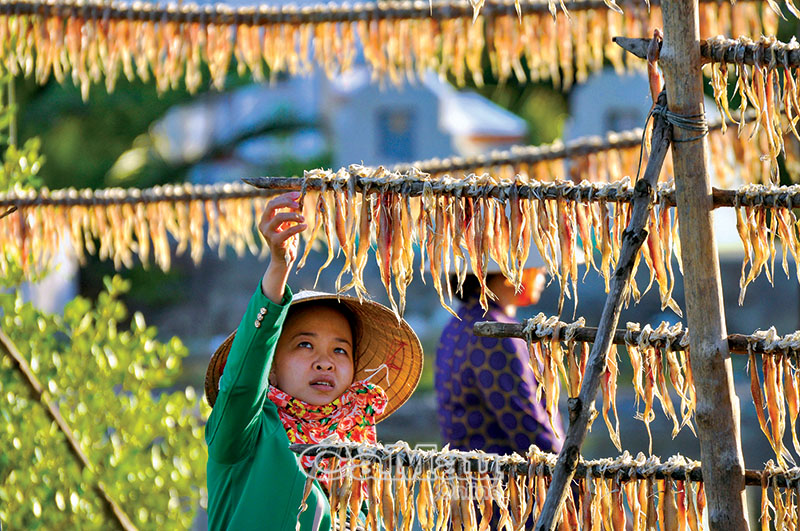 Nghề lưới cá khoai hiện đang rất phát triển tại địa phương.