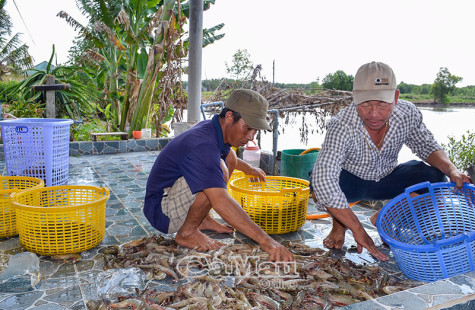 Lực đẩy kinh tế phát triển