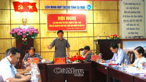 Cần đưa ra bộ tiêu chí thành lập liên hiệp hợp tác xã