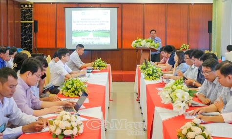 Thực hành canh tác tôm - lúa bền vững, hướng đi tất yếu