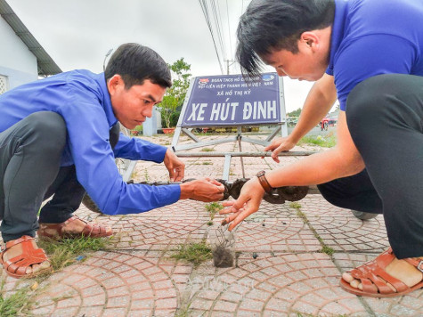 Tuyến đường không đinh