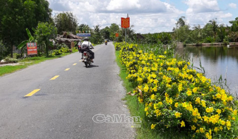 Nông thôn mới càng thêm mới