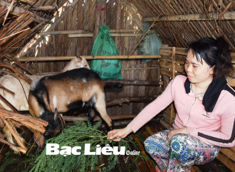 Chị Trang Kiều Lam:​ Thoát nghèo nhờ được hỗ trợ mô hình sinh kế