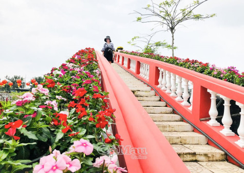 Sắc hoa bên dòng Sa Giang