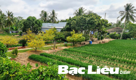 Đầu năm nghe nông dân bàn chuyện làm giàu