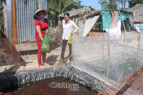 Cần cù như chị Kim Thu Nha