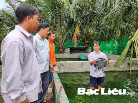 Anh Tô Văn Tân:​ Thoát nghèo bền vững nhờ nuôi cua đinh