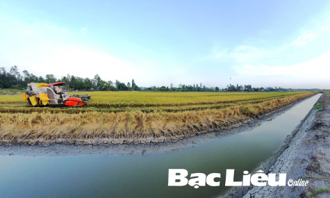 Ngành Nông nghiệp: Phát triển bền vững, thân thiện với môi trường