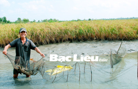 Bạc Liêu ứng phó với biến đổi khí hậu, hướng đến sự phát triển bền vững