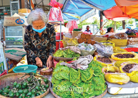 Nhịp sống ngày mới