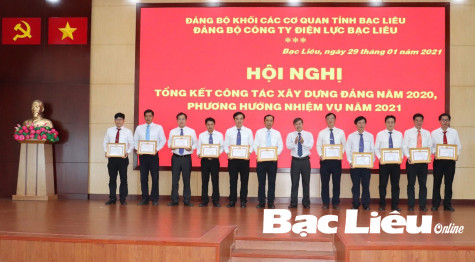 Đảng bộ Công ty Điện lực Bạc Liêu: Phát huy vai trò hạt nhân, hoàn thành xuất sắc nhiệm vụ