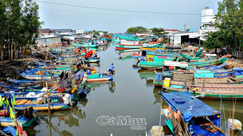 Xã bãi ngang vươn mình - Bài 1: Nông thôn mới nơi vùng đất khó