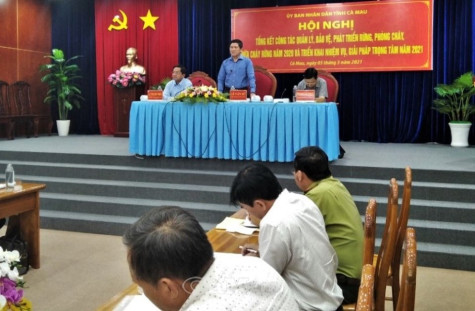 Bảo vệ gắn với phát triển kinh tế rừng