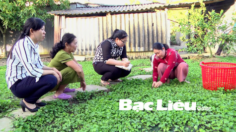 Chị Huỳnh Thị Linh Phương:​ Tăng thu nhập từ “vườn rau, ao cá”