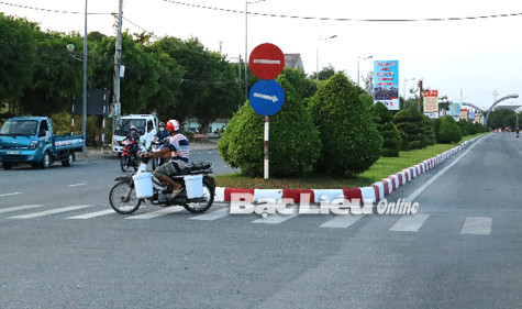 Cây xanh che khuất tầm nhìn người lái xe trên đường Võ Văn Kiệt