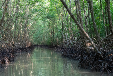 Một trang đời mở ra