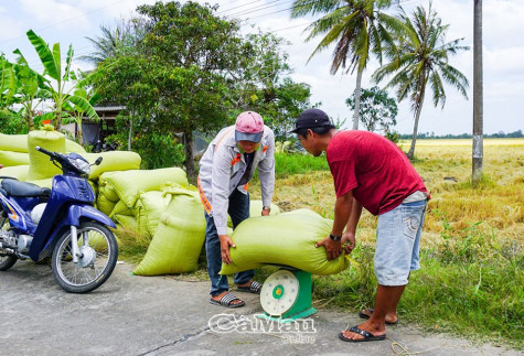 Cùng nông dân bảo vệ môi trường