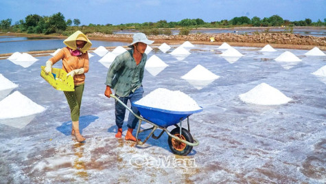 Sức sống mới tại khu đô thị kiểu mẫu miền Tây