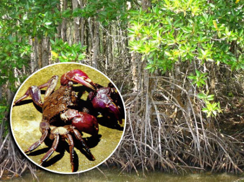 Một trang đời mở ra